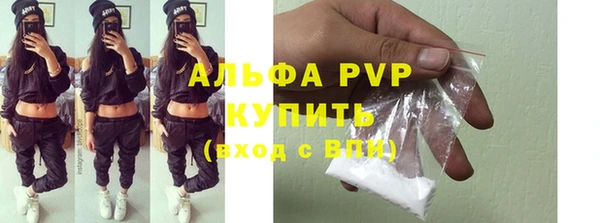 стафф Кодинск