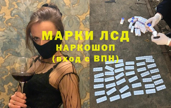 стафф Кодинск