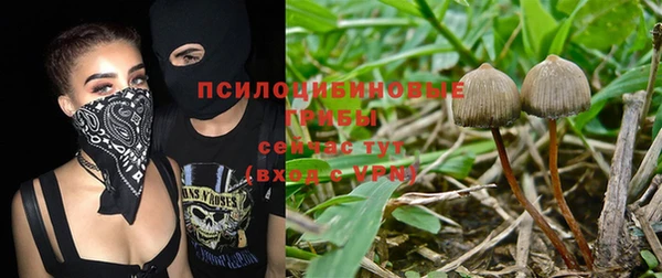 spice Козельск