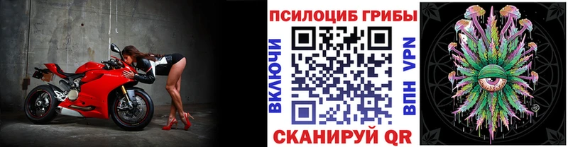 Псилоцибиновые грибы мухоморы  Купить где  Калининск 